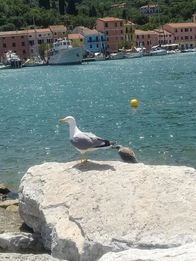 Passione Mare Apartment Porto Venere 0*,